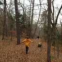  , , 65  -  5  2015     ,    ,   ,       ,   