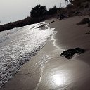 ���� Ali, ������, 41 ��� - ��������� 14 ������� 2015