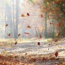 ������� ����� ������ �� ������� ���� ����������