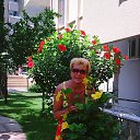 ���� �����, �����-��������� - ��������� 5 ������� 2016 � ������ ���� ����������