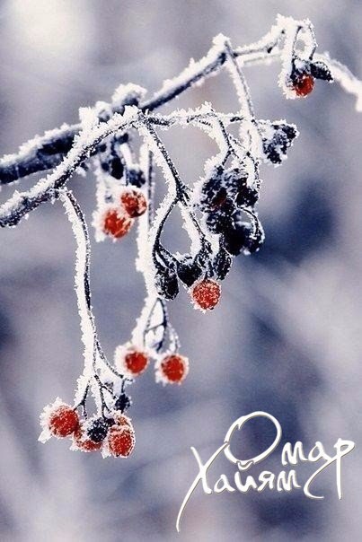   ! - 3