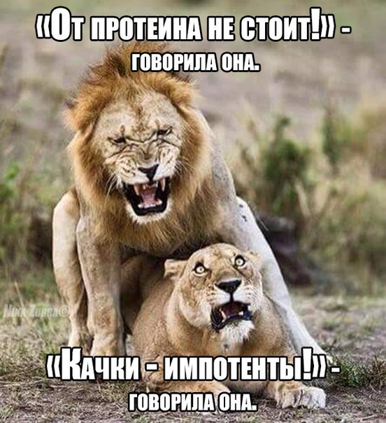 SportFeed - 22  2015  08:14