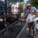  Sergey, , 63  -  3  2015    2015