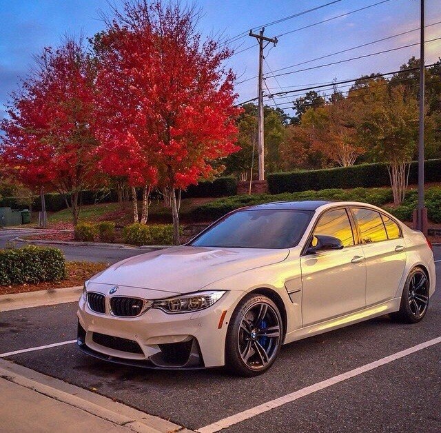 BMW f80 White