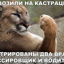 ���� ����, ������ �����, 46 ��� - ��������� 13 ������ 2015 � ������ ���� ����������
