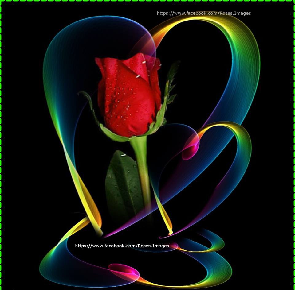  :   , ,  ,   ,     ...
