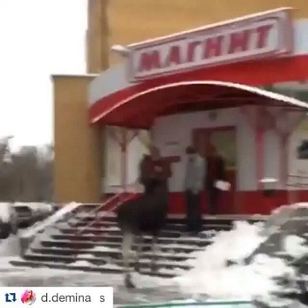 ����� ���� ����� ������ ����))))) @ ������� ������, ��. ��������, �������