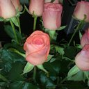 ���� �������, ����� - ��������� 2 ������ 2016 � ������ ���� ����������