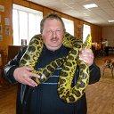 ���� �������, ���������, 60 ��� - ��������� 23 ������� 2015 � ������ ���� ����������