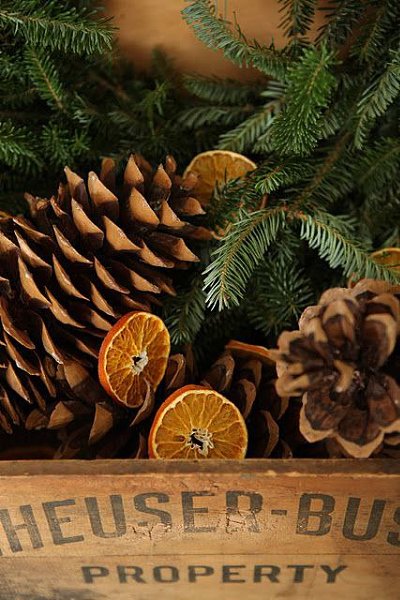   - 23  2015  17:47 - 3