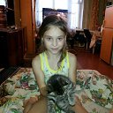  , , 40  -  18  2015      (2015)