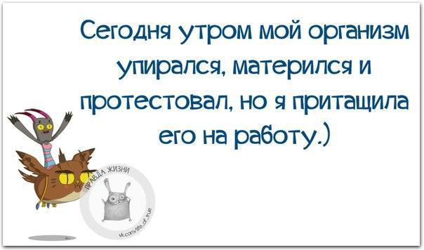   - 3  2016  10:15