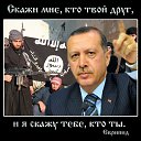 ���� ������, �����-���������, 41 ��� - ��������� 26 ������ 2015 � ������ ������ ��������