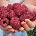 ���� ���������, ������ - ��������� 17 ������� 2016 � ������ ������ ��������