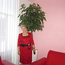 ���� �����, ����������, 66 ��� - ��������� 26 �������� 2015