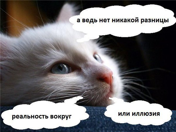      - 5
