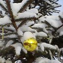 ���� ��������, ������� ��������, 68 ��� - ��������� 20 ������� 2016 � ������ ���� ����������