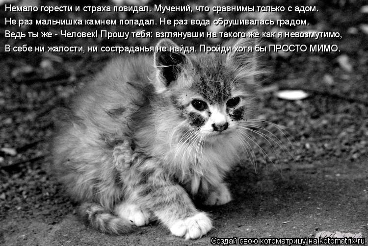 ( ) - 6  2015  10:21