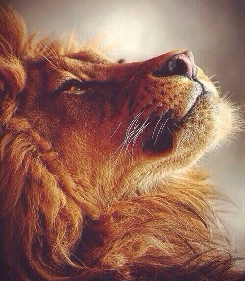 ��, ��� ���������� � �����, ���������� ������ � �����. ������ � ������� �� ������� ��������� �� ��� ...