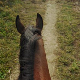 ���� ������, ���������, 22 ���� - ��������� 24 ������� 2015