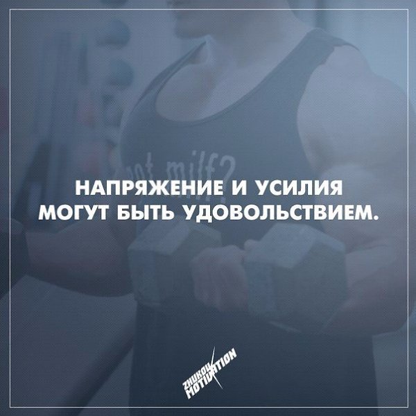 ����� - ��� ����� - 11 ������� 2015 � 15:26