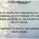 ���� �����, �������� - ��������� 20 ������� 2015 � ������ ������ ��������