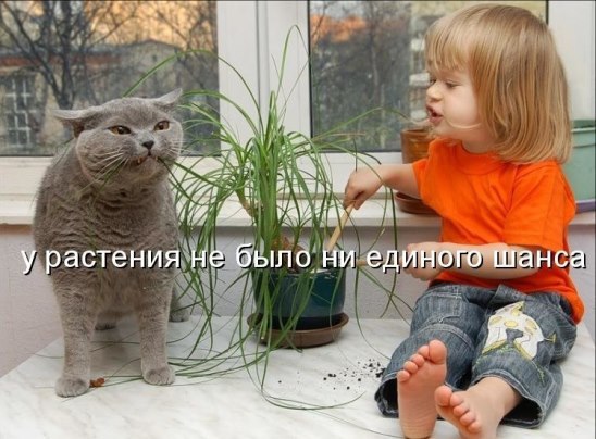 ***Victoria Viktorovna*** - 13  2015  05:19
