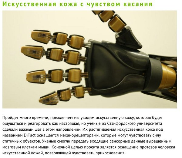 Самые смелые прогнозы футурологов, которые осуществились в 2015 году - 2