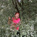 ���� �������, ����� - ��������� 9 ������� 2015 � ������ ���� ����������