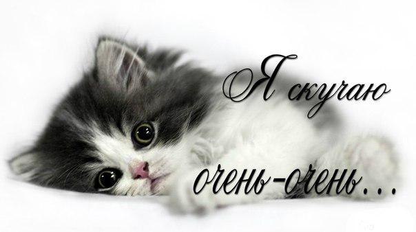 Безупречно Чужой. Бесконечно Любим. Безнадёжно не Мой... Он живет в моём сердце. Ему там тепло и ...