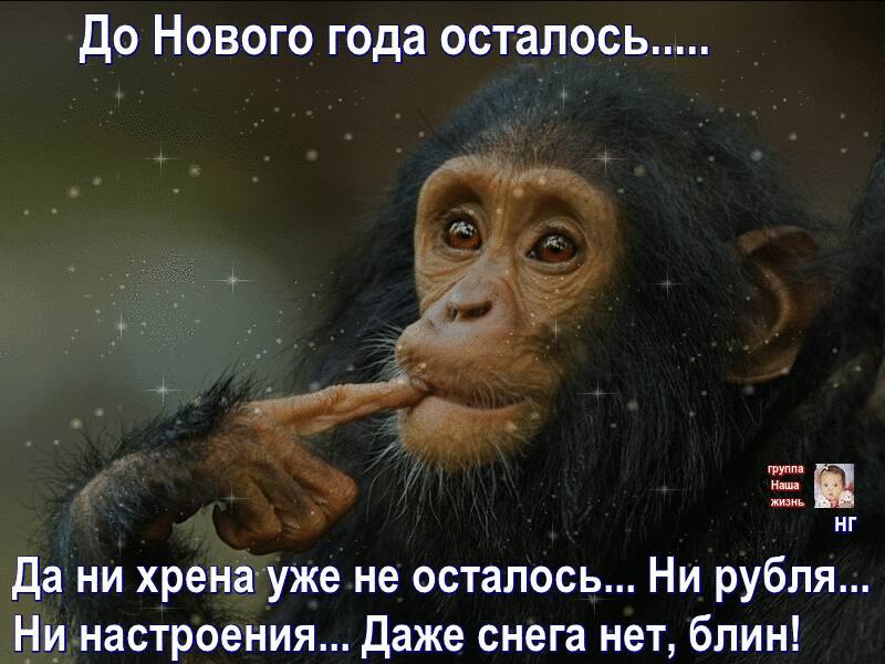   - 13  2015  00:08