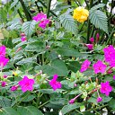  , , 60  -  25  2015   24.10.15.  ,.