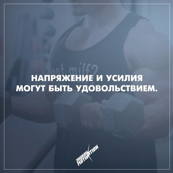  -   - 11  2015  15:26