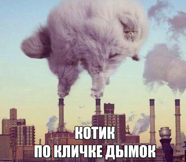     - 12  2016  21:01