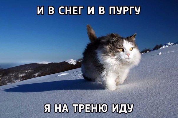SportFeed - 2  2016  02:39