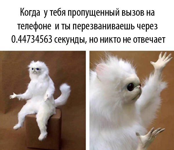     - 21  2016  20:08
