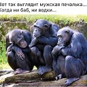 ���� ��������, ��������, 52 ���� - ��������� 5 ������ 2015 � ������ ������ ��������