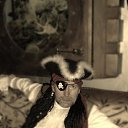 ���� �����, ������������, 65 ��� - ��������� 4 ������� 2015 � ������ ���� ����������