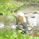 ���� ������, �����������, 54 ���� - ��������� 24 ������� 2016 � ������ ���� ����������