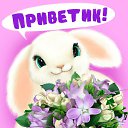 ���� ����, ������, 54 ���� - ��������� 5 ������ 2016 � ������ �������� ��������