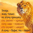 ���� Teo-teo, ����������� - ��������� 14 ������� 2015 � ������ ������ ��������