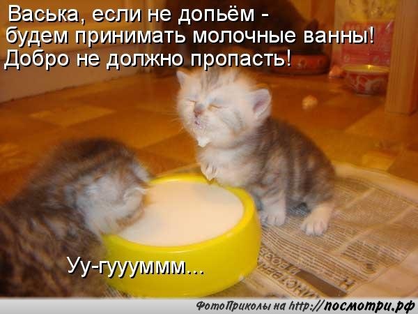       - 24  2015  08:32
