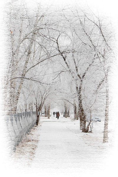 Первое декабря... автор - Марина Царюк.Ах, этот черно- белый цвет!Зима все разом поменяла…Лишь снег ...