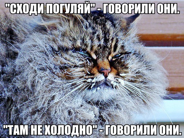  - 5  2016  11:31