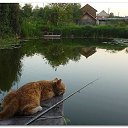 ���� ����, �����-���������, 65 ��� - ��������� 5 ������ 2015 � ������ ������ ��������