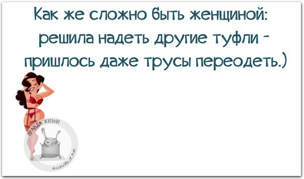   - 24  2015  17:31