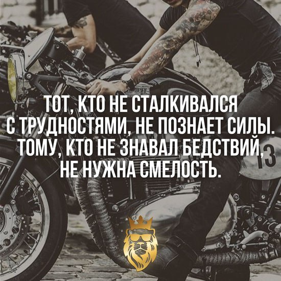 IQ Blog: ��������, ��������, ���������, ����� - 20 ������� 2015 � 08:38