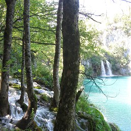 ���������, ����, 66 ���