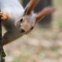 ���� �������, ��������� - ��������� 10 ����� 2016 � ������ ����������� - ��� �����