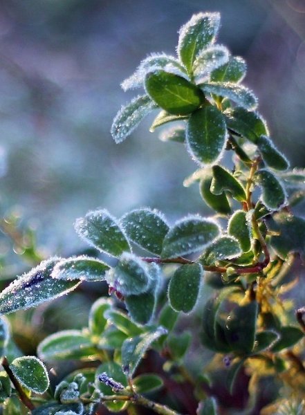 ����� ���� �����.. - 3 ����� 2016 � 22:53 - 4